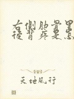 右侧肋骨里面疼后背疼是怎么回事