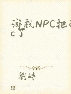 游戏NPC把我c了