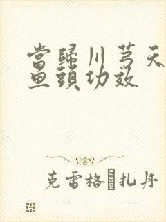 当归川芎天麻炖鱼头功效封面