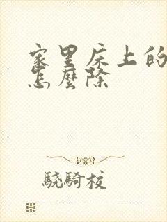 家里床上的螨虫怎么除