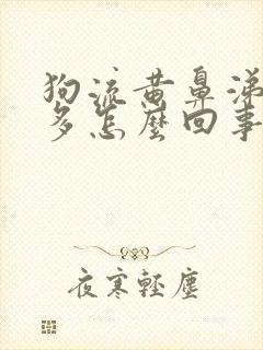 狗流黄鼻涕比较多怎么回事