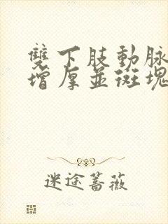 双下肢动脉内膜增厚并斑块