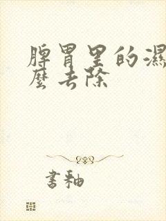 脾胃里的湿气怎么去除