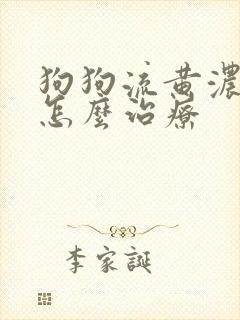 狗狗流黄浓鼻涕怎么治疗封面