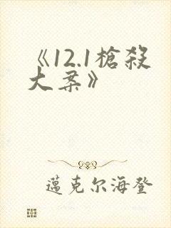 《12.1枪杀大案》封面