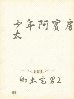 少年阿宾房东太太