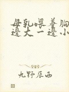 母乳喂养胸部一边大一边小怎么办封面