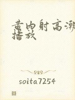 黄内射高潮在线播放封面