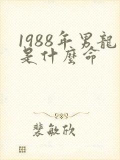 1988年男龙是什么命封面