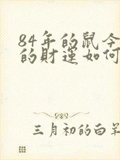 84年的鼠今年的财运如何