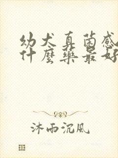 幼犬真菌感染用什么药最好