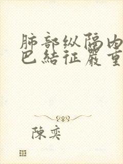 肺部纵隔内小淋巴结征严重吗?封面