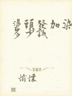 烫头发加染头发多少钱