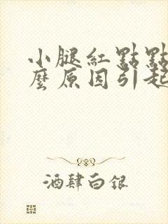 小腿红点点是什么原因引起的