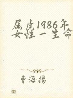 属虎1986年女性一生命运