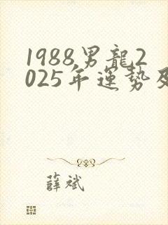 1988男龙2025年运势及运程