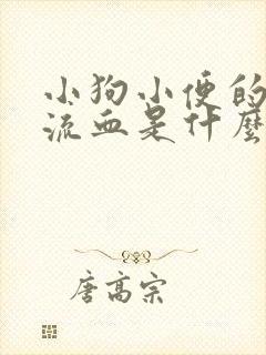 小狗小便的地方流血是什么原因