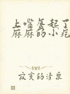 上嘴唇起了密密麻麻的小疙瘩