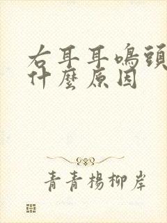 右耳耳鸣头晕是什么原因封面