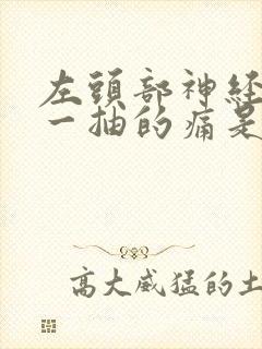 左头部神经一抽一抽的痛是怎么回事