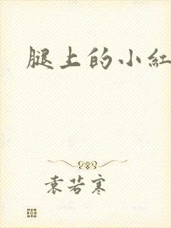 腿上的小红疙瘩封面