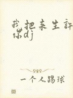 我把来生许给了你dj