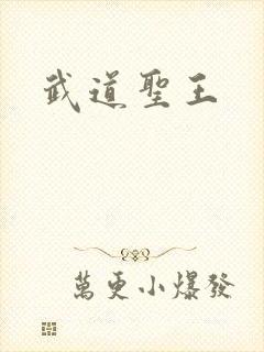 武道圣王