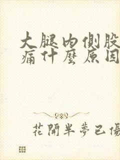 大腿内侧股骨头痛什么原因