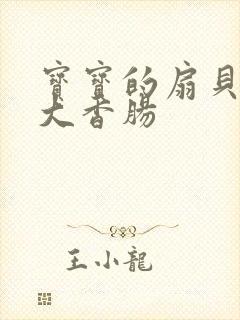 宝宝的扇贝想吃大香肠封面