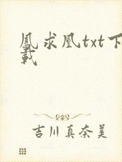 凤求凰txt下载