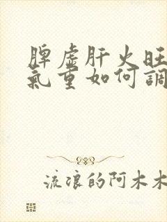 脾虚肝火旺盛湿气重如何调理