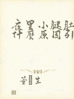 夜里小腿肚痒是什么原因引起的