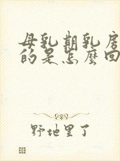 母乳期乳房软软的是怎么回事封面