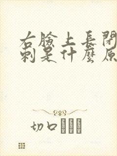 右脸上长闭口粉刺是什么原因