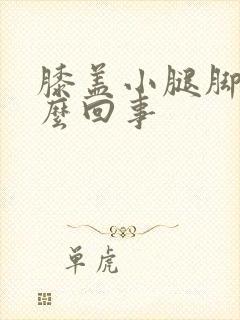 膝盖小腿脚凉怎么回事封面