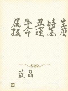 属牛丑时生的女孩命运怎么样封面