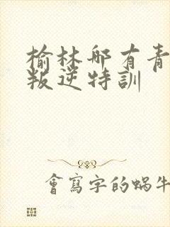 榆林哪有青少年叛逆特训