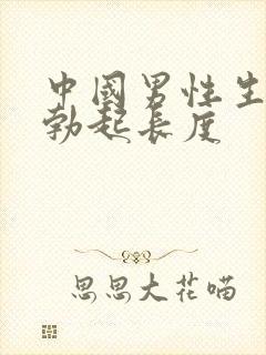 中国男性生殖器勃起长度