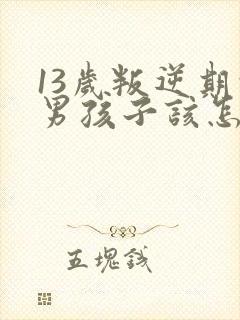 13岁叛逆期的男孩子该怎样去沟通教育