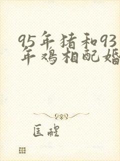 95年猪和93年鸡相配婚姻如何封面