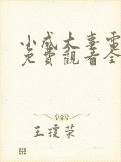 小成大事电视剧免费观看全集高清