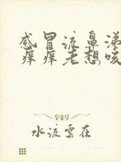 感冒流鼻涕嗓子痒痒老想咳嗽怎么办