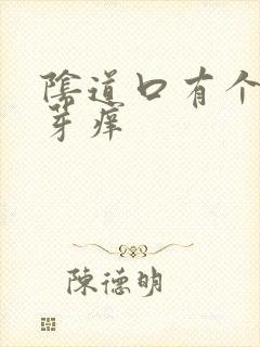 阴道口有个小肉芽痒封面