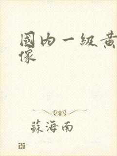 国内一级黄色录像