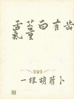 舌苔白有齿痕湿气重