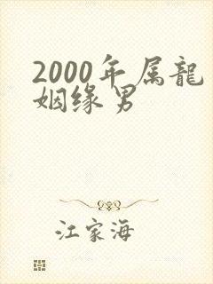 2000年属龙姻缘男