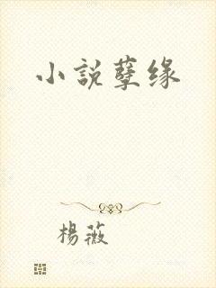 小说孽缘