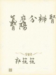 怎么分辨肾阴和肾阳封面