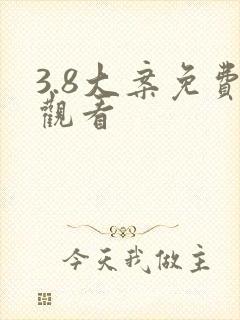 3.8大案免费观看