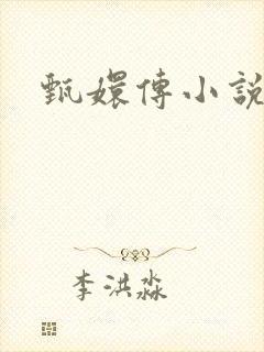 甄嬛传小说封面